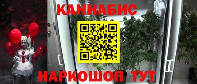 дмт Новозыбков