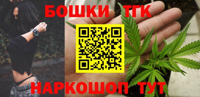 дмт Новозыбков