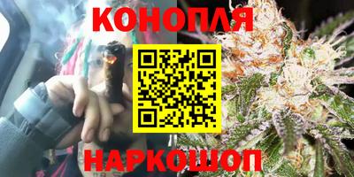 спиды Новокубанск