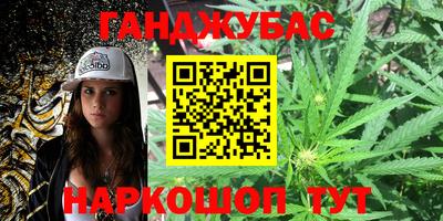 дмт Новозыбков