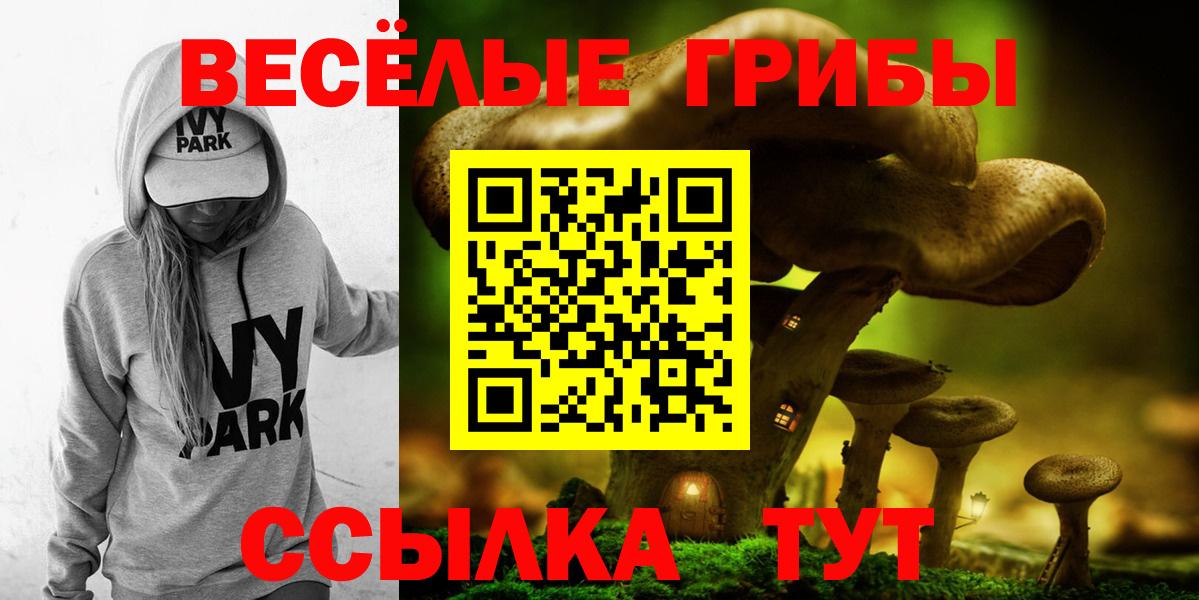 Тула  продажа наркотиков  Вход с VPN  Псилоцибиновые грибы прущие грибы 